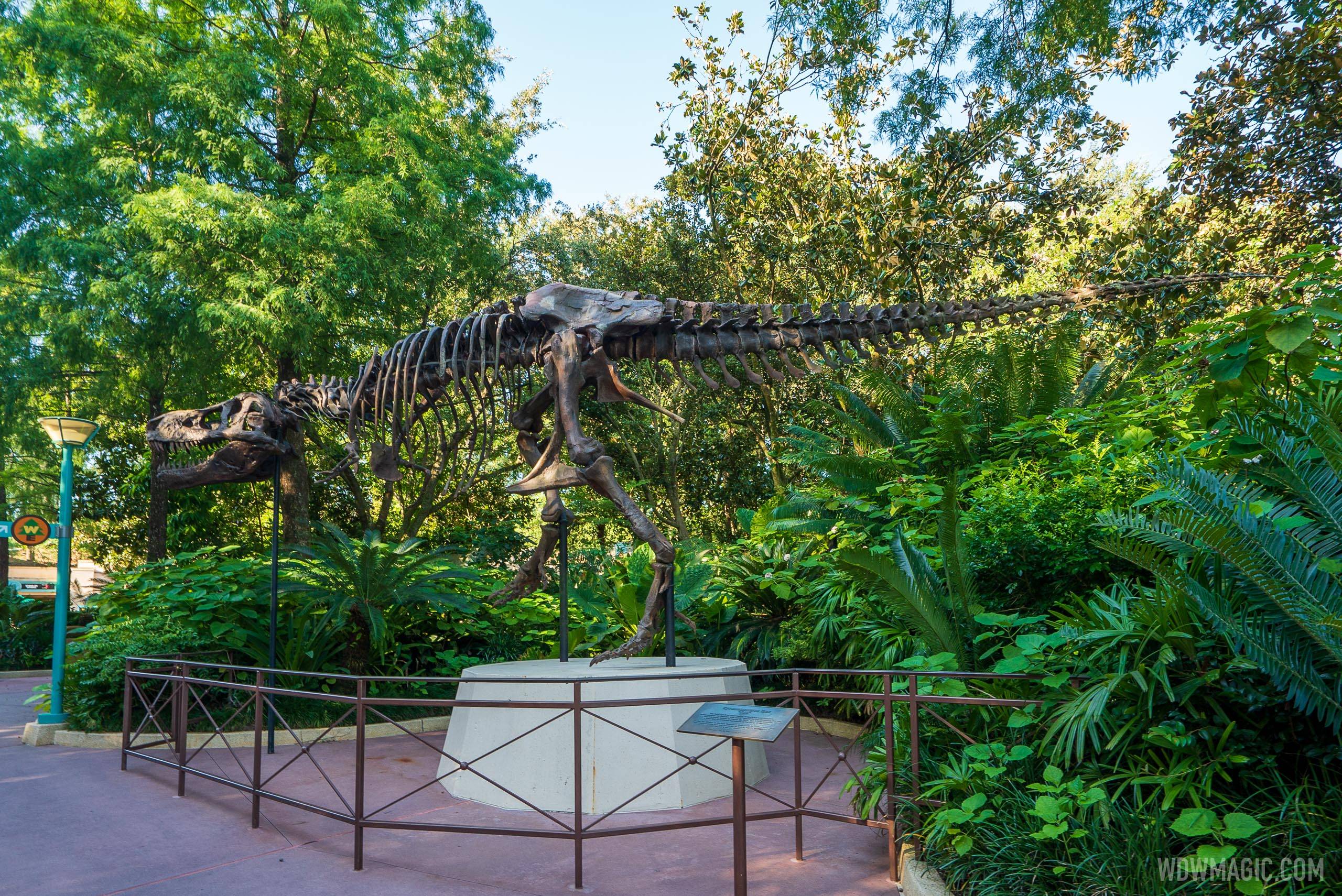 Dinosaur