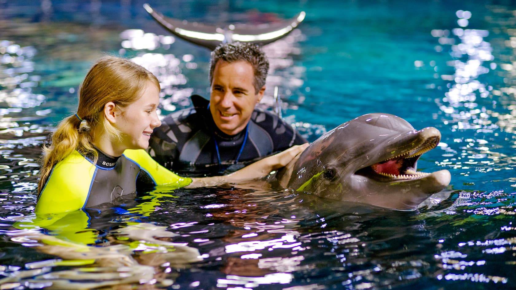 Dolphins in Depth