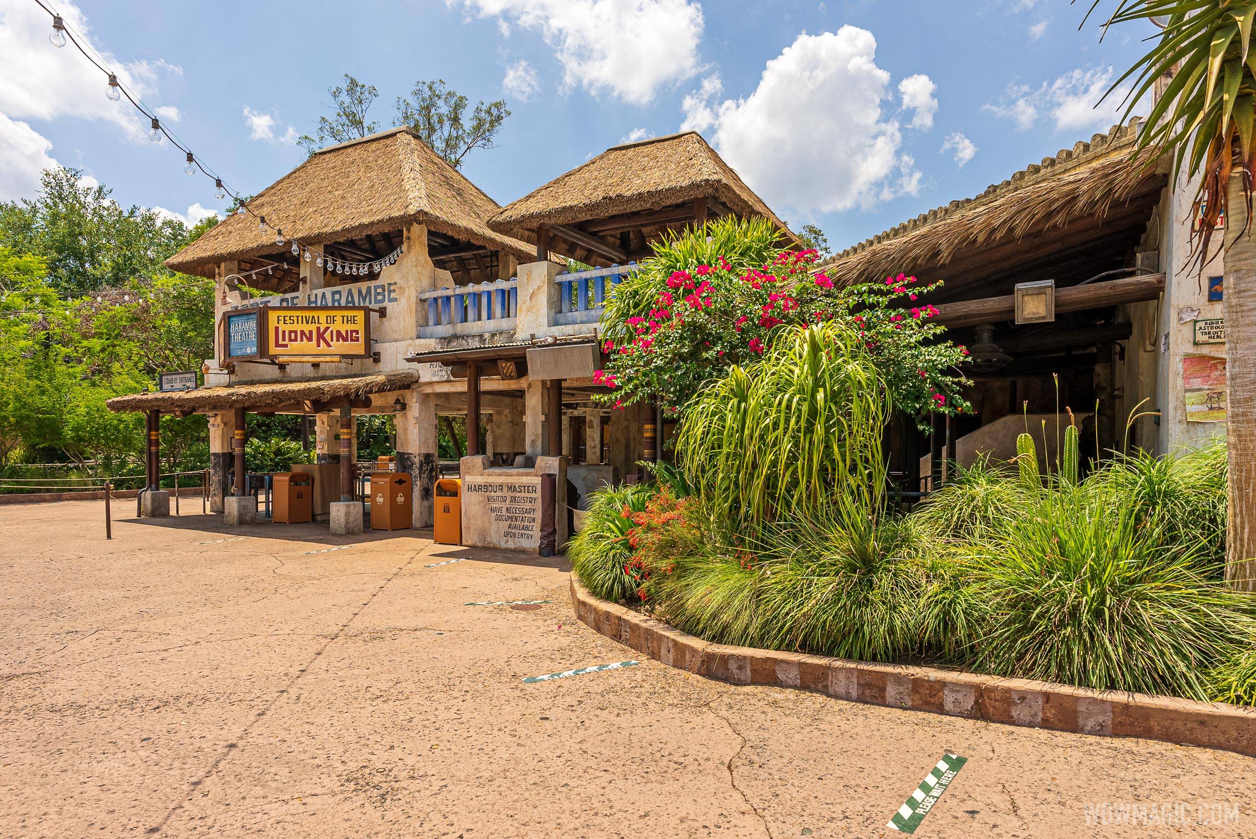 A Celebration of Festival of the Lion King
