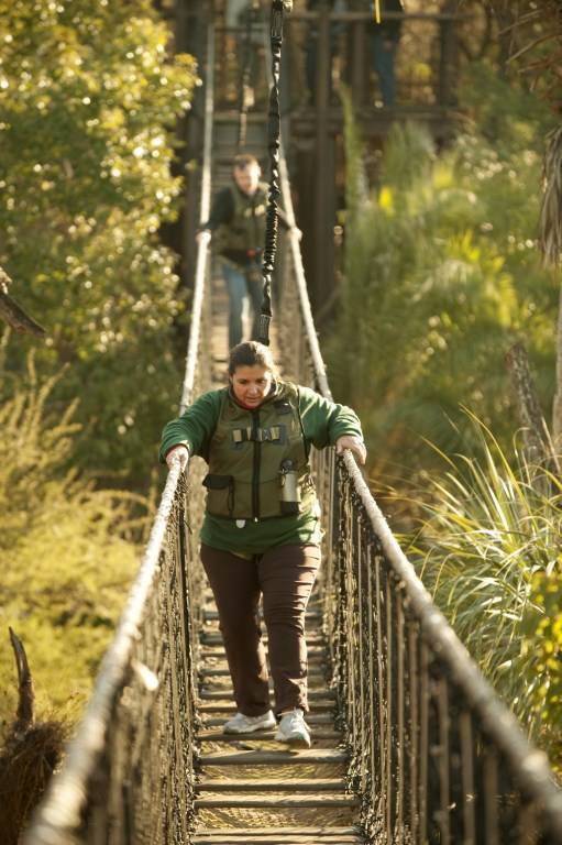 Wild Africa Trek experience