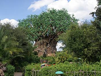 Wild by Design Tour
